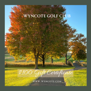 $100 Gift Certificate
