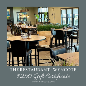 $250 Gift Certificate