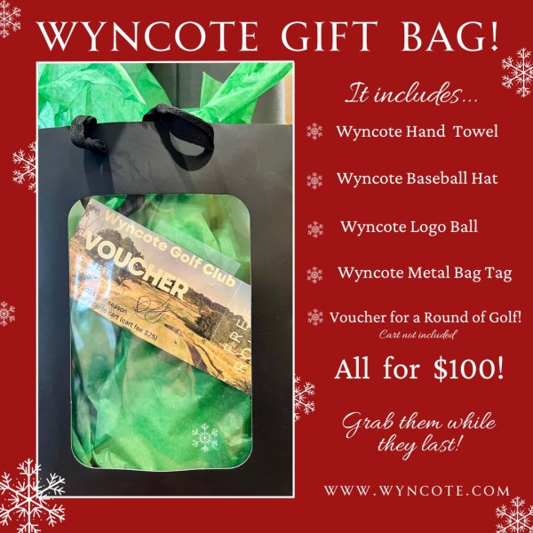 Wyncote Gift Bag